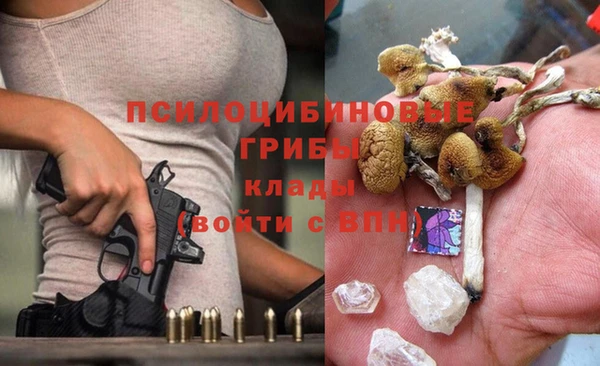 ГАЛЛЮЦИНОГЕННЫЕ ГРИБЫ Горнозаводск