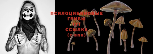 мдпв Гусиноозёрск