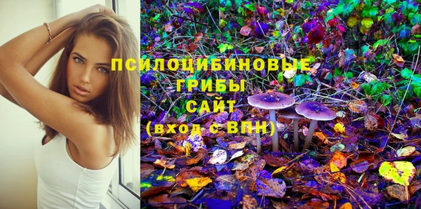 МДПВ Горняк