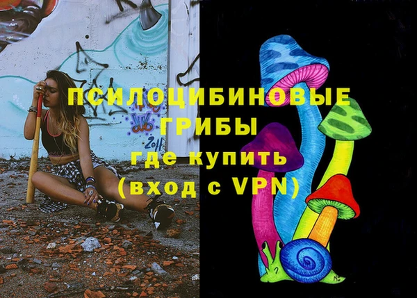 бошки Гусь-Хрустальный