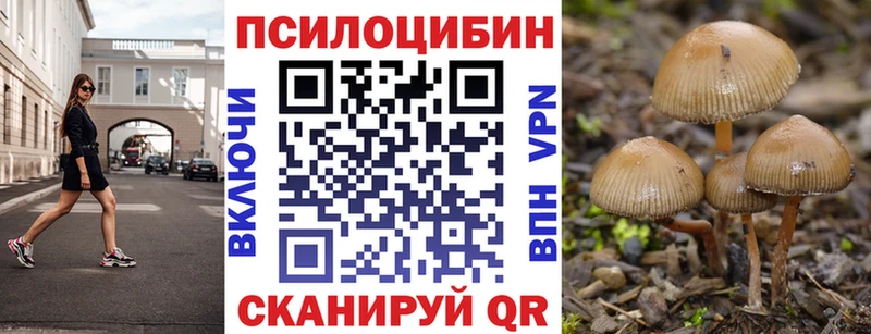 Псилоцибиновые грибы Psilocybine cubensis  ссылка на мегу сайт  Меленки 